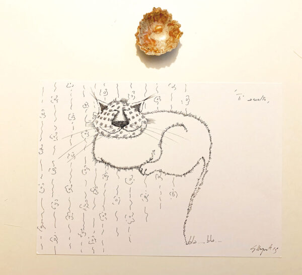 Bla Bla  Illustration