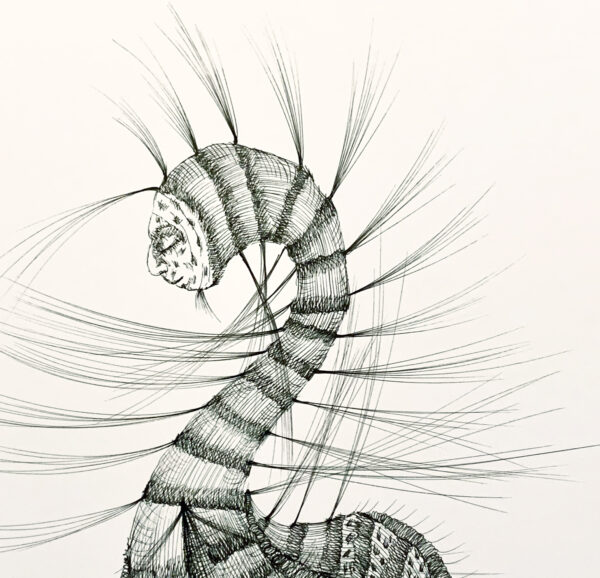 The doubt Illustration - Image 2